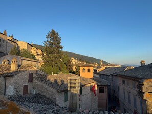 A historic town with stone buildings, a prominent church, and a large tree. - Luce Luxury with panoramic terrace (Assisi)
