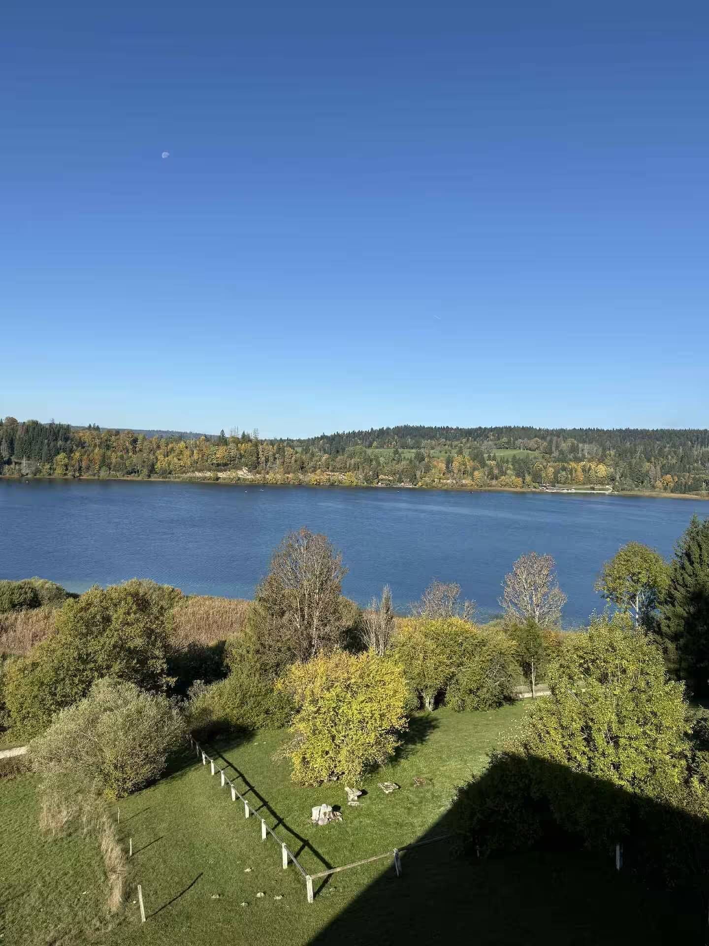 Ein See unter wolkenlosem Himmel, umgeben von Bäumen und einer Wiese mit einem Zaun.