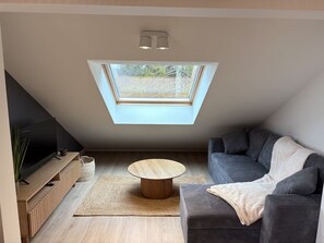 Ein modernes Schlafzimmer im Loft-Stil mit Dachfenster, einer Couch, einem Fernseher und einem Holztisch.