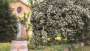 Property grounds - Domaine de Castillou (Luc-sur-Aude)