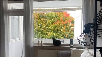 Televisio, DVD-soitin, stereot