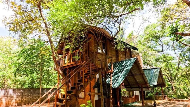 Ein rustikales Baumhaus mit hölzernen Treppen und einer kleinen Veranda.