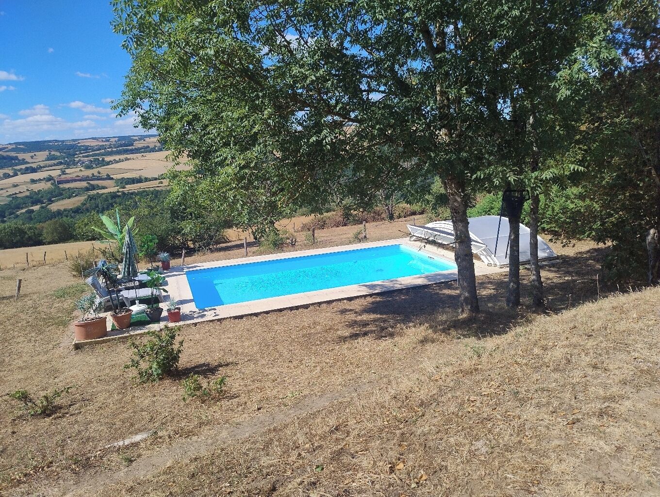 A rectangular swimming pool with a clear blue water surface, surrounded by a grassy area with a few potted plants.