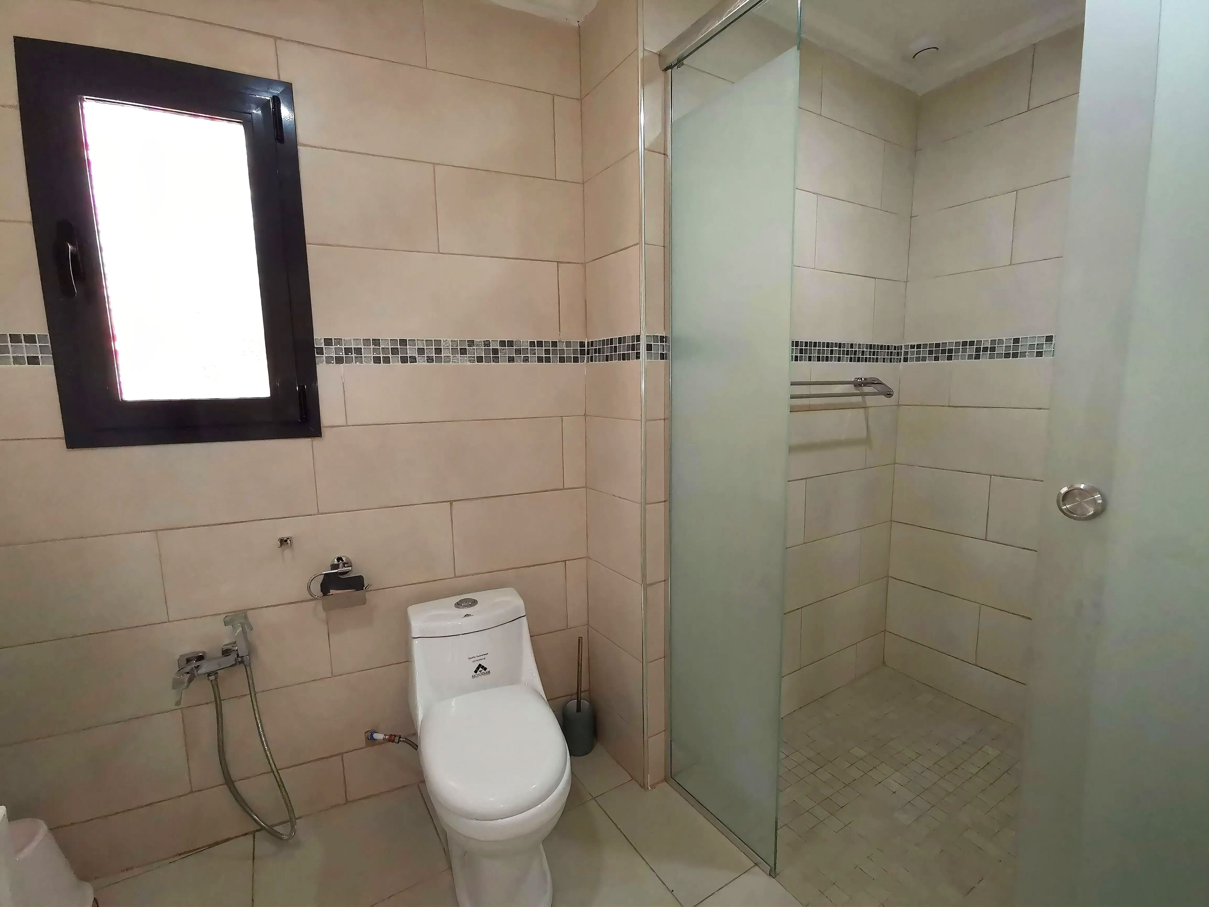 A bathroom with a toilet, a shower, and a glass-enclosed shower stall.