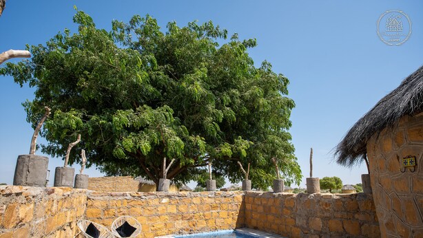 A stone-walled pool area with two wicker chairs, a thatched-roof structure, and a large tree providing shade. - DREAMTIME BUNGALOW (Jaisalmer)