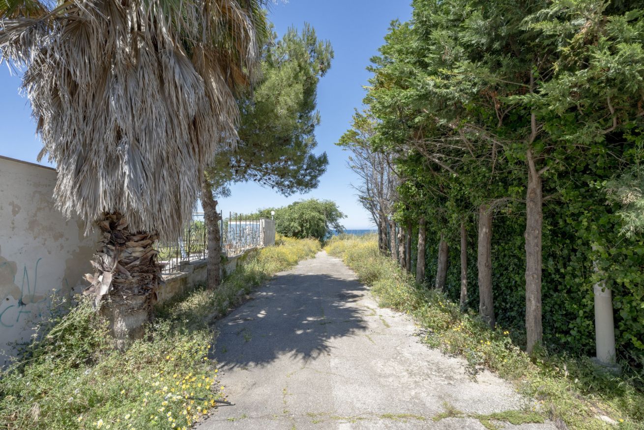 Ein schmaler, gepflasterter Weg, gesäumt von Bäumen und Vegetation, der zu einem Gewässer führt.