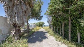 Ein schmaler, gepflasterter Weg, gesäumt von Bäumen und Vegetation, der zu einem Gewässer führt.