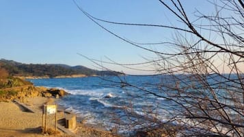 海灘