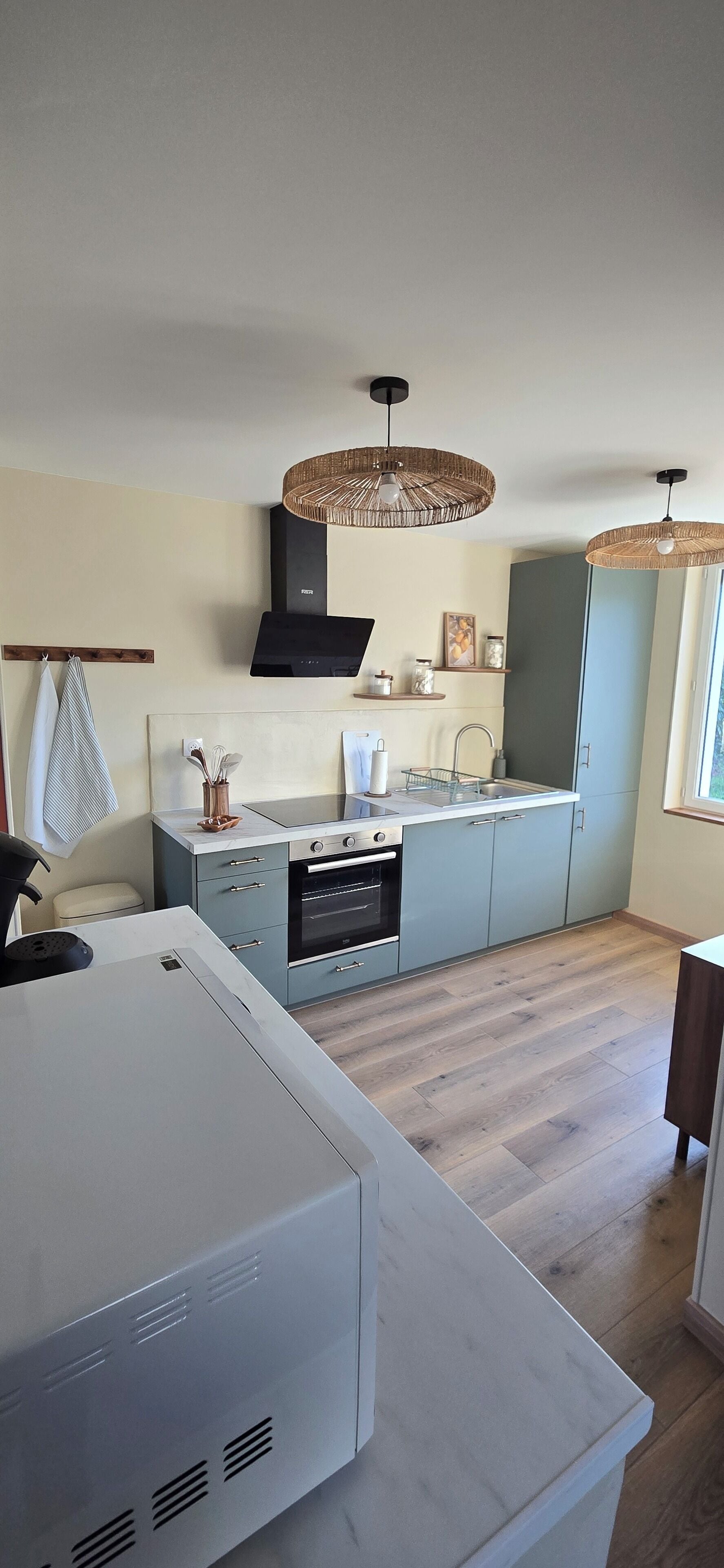 Mikrovågsugn, ugn, spishäll och diskmaskin