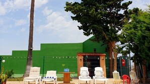 Una piscina con sillas de descanso, una palmera y un edificio verde al fondo.