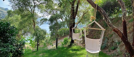 A hammock suspended between trees in a lush, green outdoor setting.
