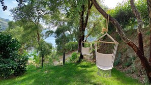 Property grounds - Mirão House (Santa Marinha do Zêzere)
