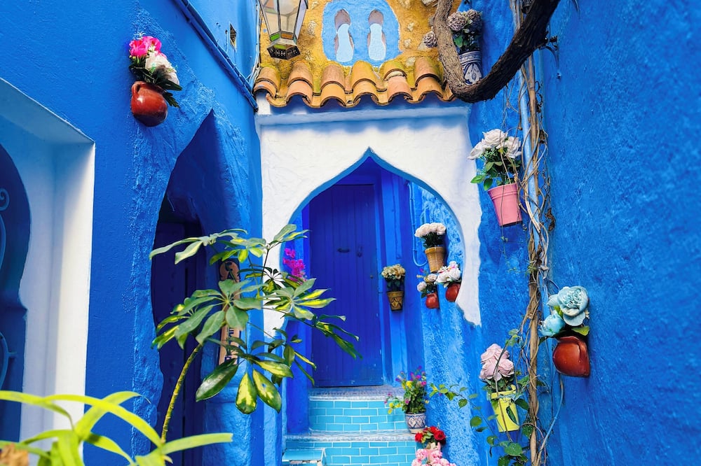 Casa Blue Star