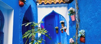 Casa Blue Star