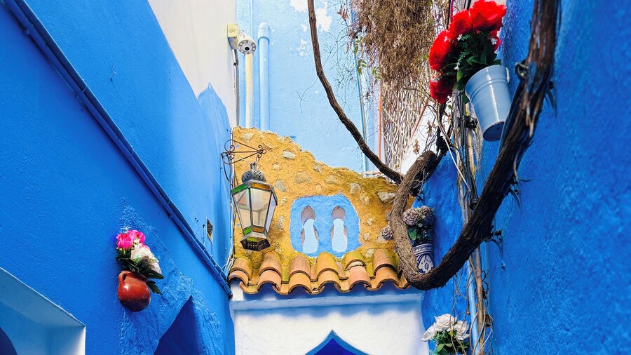 Casa Blue Star