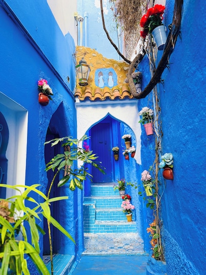 Casa Blue Star