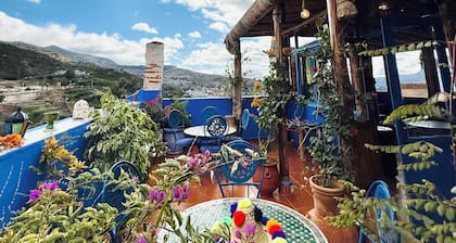 Casa Blue Star