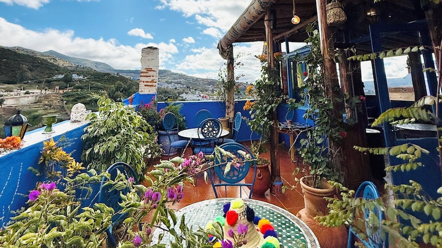 Casa Blue Star
