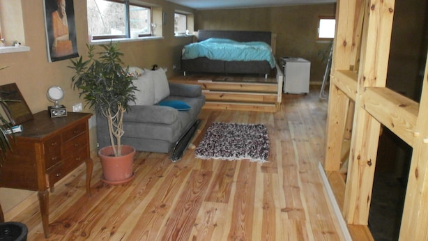 Ein gemütliches Zimmer mit einem Bett, einem grauen Sofa, Holzboden, einer Topfpflanze und einem kleinen Tisch mit einer Lampe.