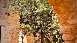 Unclassified image, 2 of 109, button - La Villa Sauvage (Ounagha)