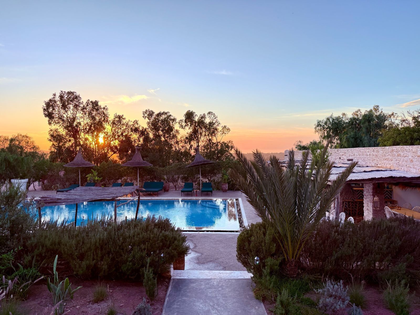 Outdoor pool, open 9:00 AM to 7:00 PM, pool umbrellas, pool loungers