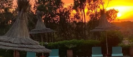 Una piscina al aire libre, sombrillas, sillones reclinables de piscina