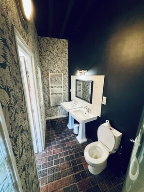 Regadera, secadora de cabello, toallas, papel de baño 