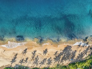 Beach - NEW | Your Perfect Island Getaway Awaits at The Maui Banyan (Kihei)
