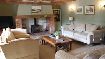 TV connectée, cheminée, lecteur de DVD, table de tennis de table