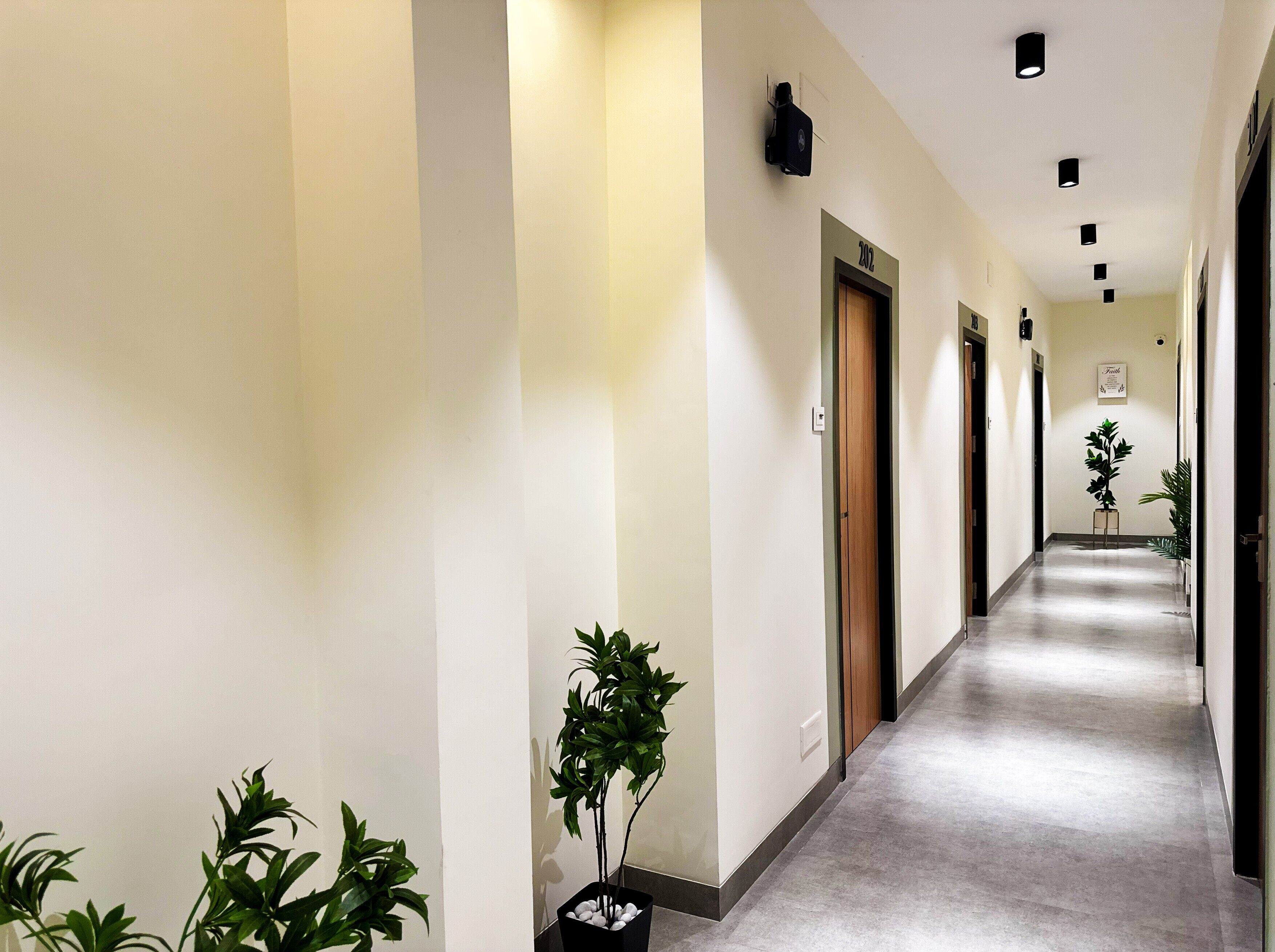 A hotel hallway with a carpeted floor, doors, and potted plants.