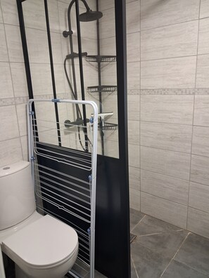 Hair dryer, towels, soap, toilet paper - Cosy cottage (Veaugues)