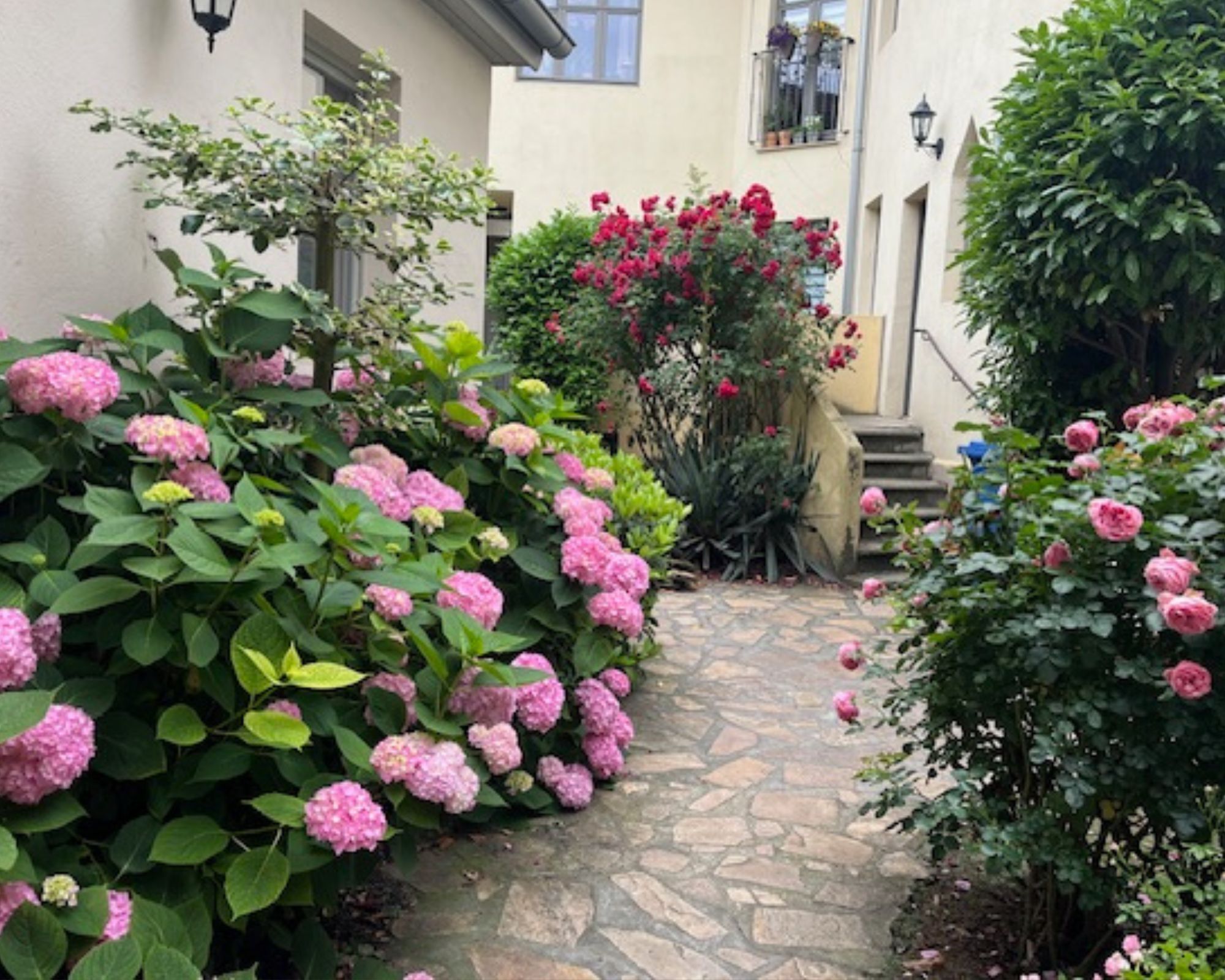 Enceinte de l’hébergement