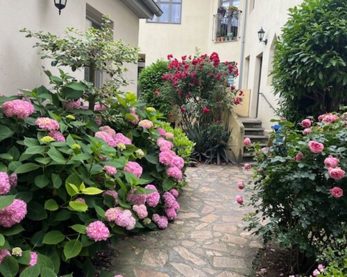 schöne Fewo im EG, beste Innenstadtlage in Marktplatznähe, mit eigenem Parkplatz