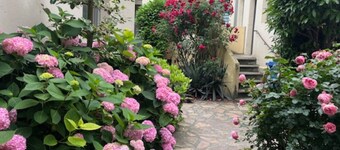 Beautiful apartment on the ground floor, best city center location near the market square, with own parking space