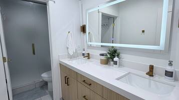 Shower, hair dryer, bidet, towels