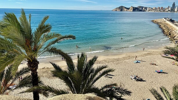 A beach with clear blue water, palm trees, and a cityscape in the background. - Casa del Mediterraneo Apartment in the Old Town of Benidorm (Benidorm)