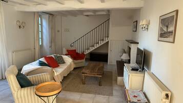 Télévision, cheminée, jeux vidéo, livres