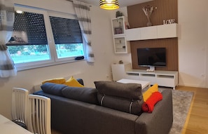 Smart TV, books