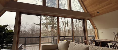 TV connectée, cheminée