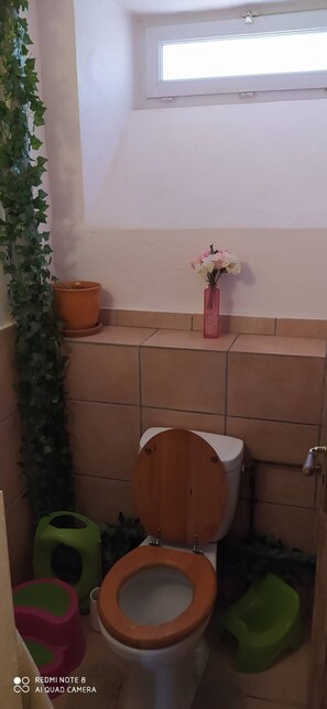Hair dryer, toilet paper
