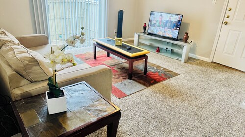 Convenient Cozy 1-BR apartment, close to downtown, NRG, fine dining, Med Ctr