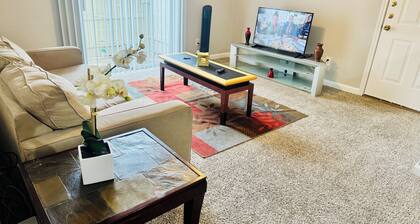 Convenient Cozy 1-BR apartment, close to downtown, NRG, fine dining, Med Ctr