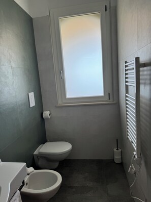 Dusche, Haartrockner, Bidet, Handtücher