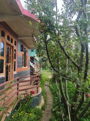 A traditional building with a porch and a garden path leading to it.