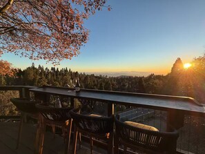 Property grounds - Epic Views + Movies at the spa and outdoor fireplace (Running Springs)
