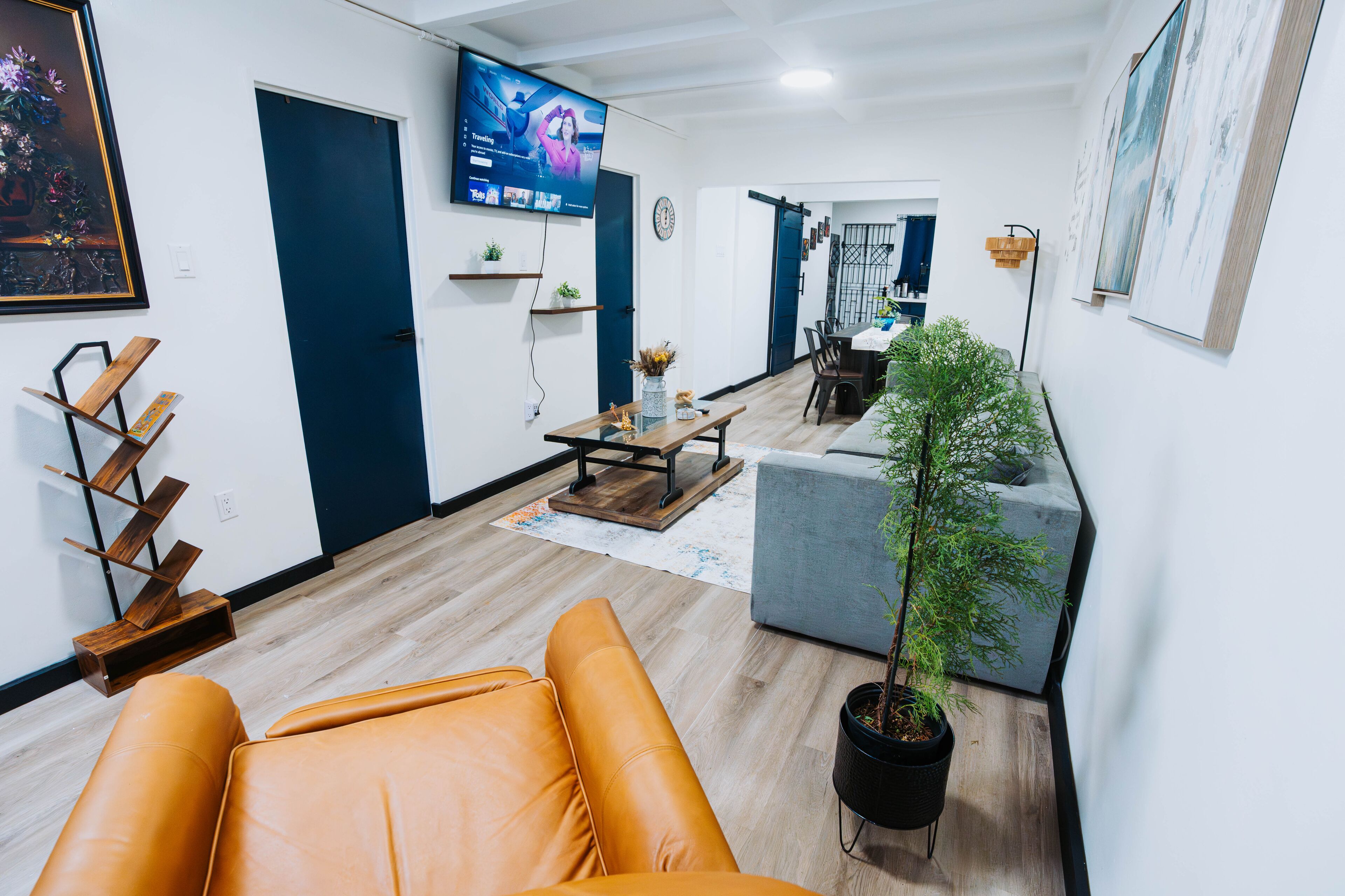 Älytelevisio, kirjoja