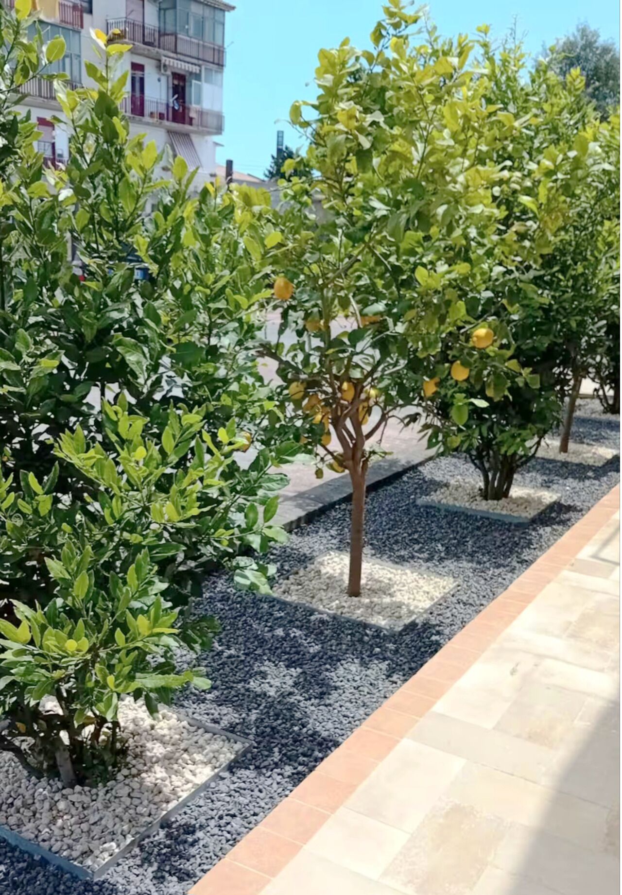 Terrein van de accommodatie