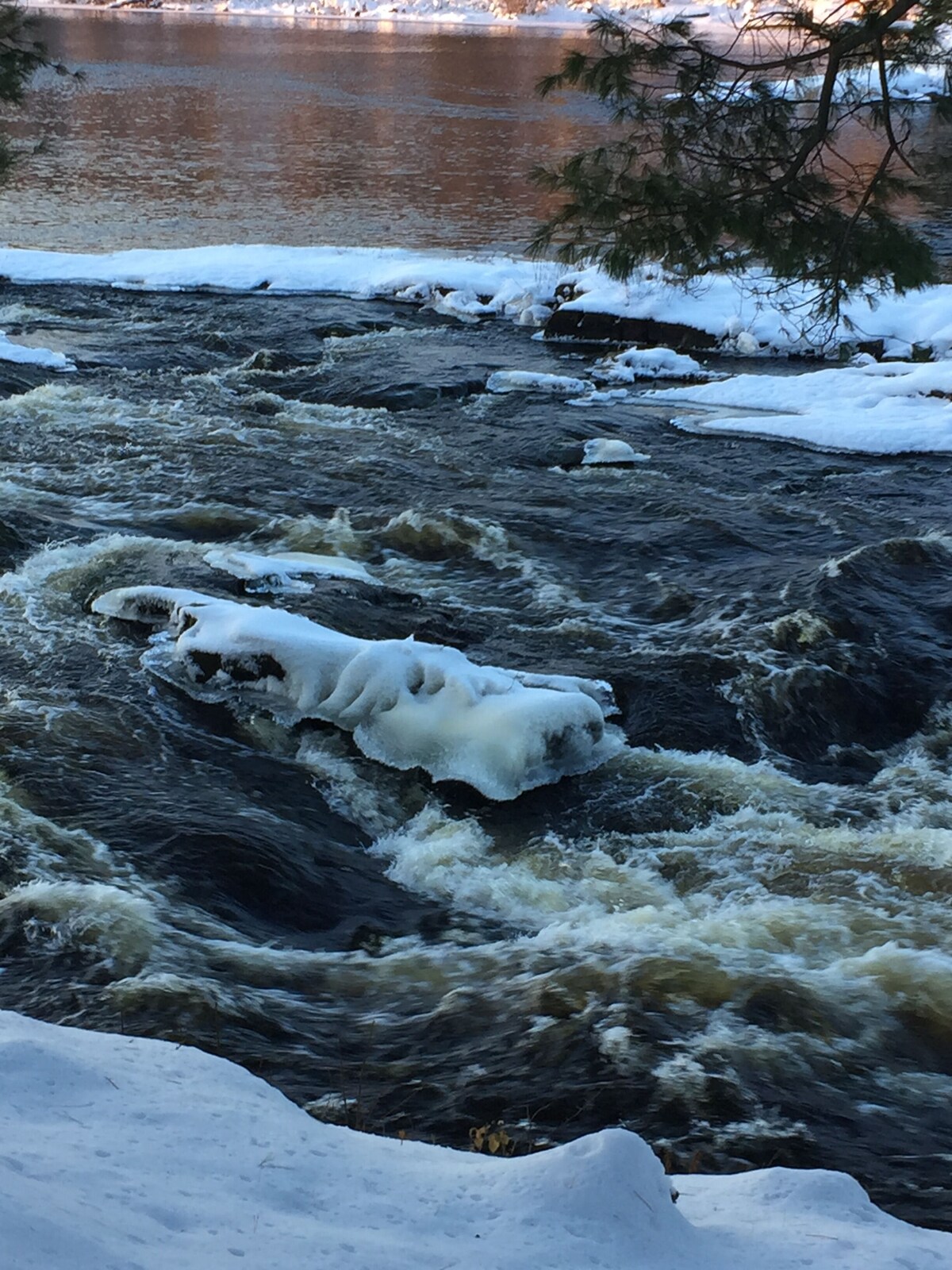 オーナーのプロフィール画像