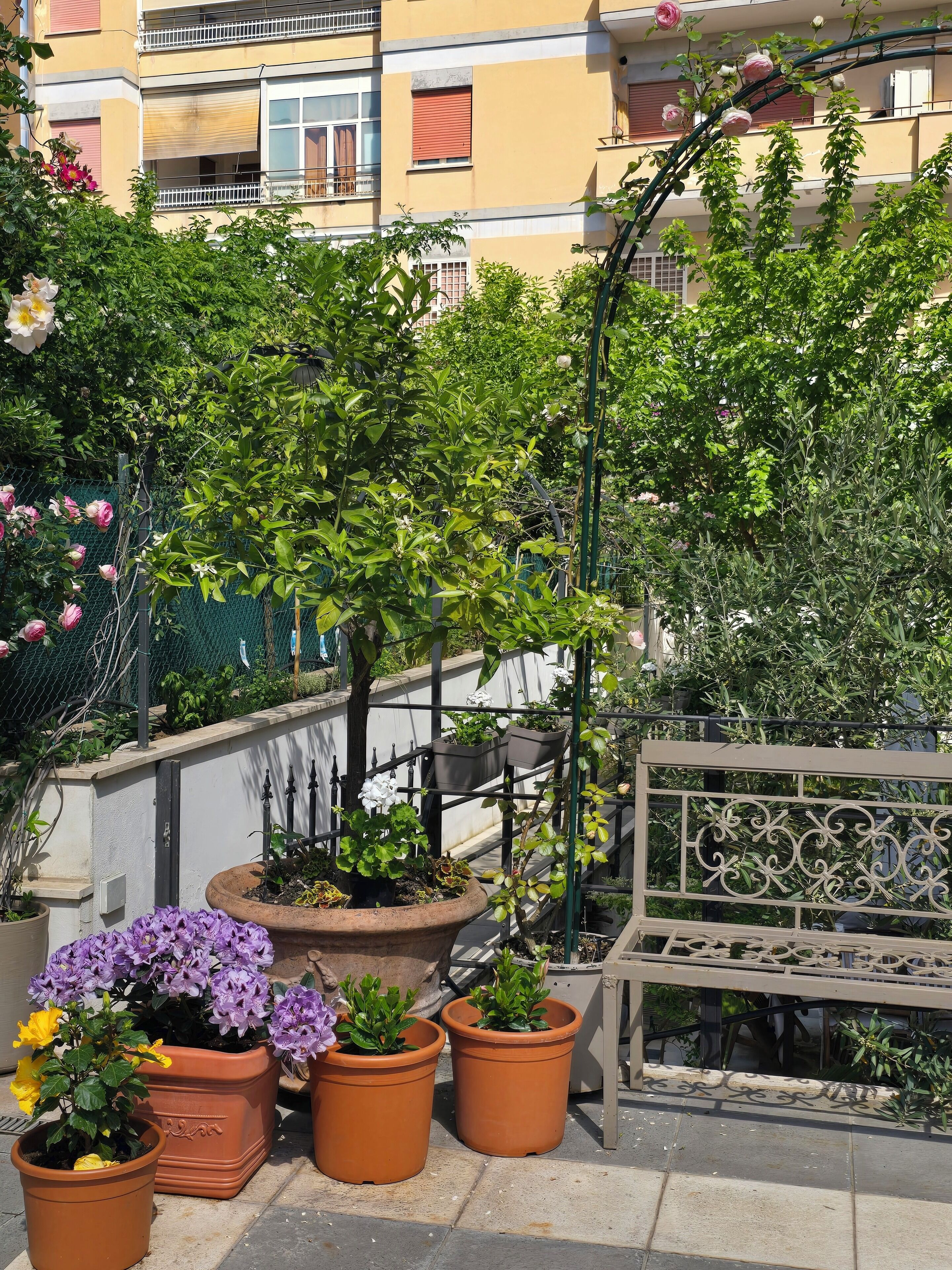 Enceinte de l’hébergement