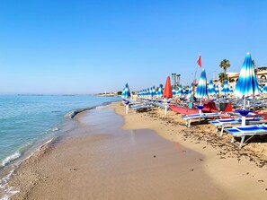 Chaises longues, serviettes de plage
